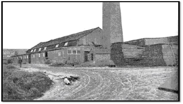 Russell Brickyard, north west of Queen and Greenwood, 1906