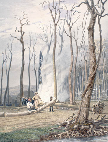Burning Trees in a Girdled Clearing, Archives and Libraries Canada