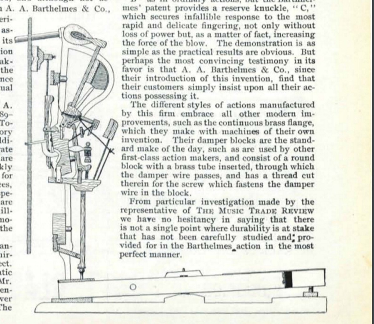 barthelmes-bio-action