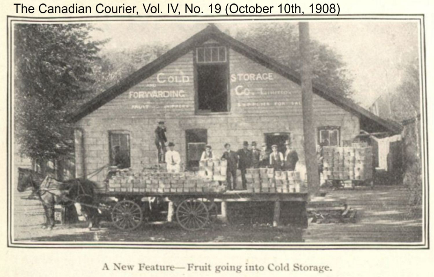 The Canadian Courier, Vol. IV, No. 19 (Oct 10, 1908) Cold storage