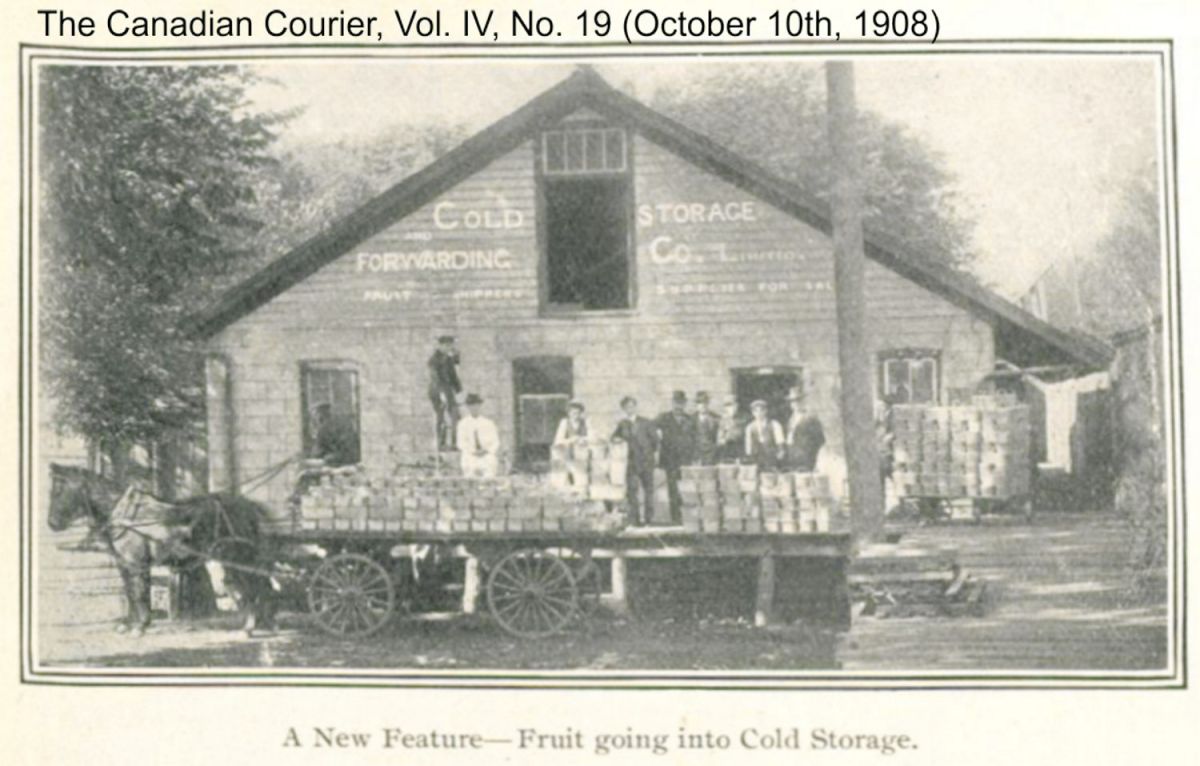 The Canadian Courier, Vol. IV, No. 19 (Oct 10, 1908) Cold storage