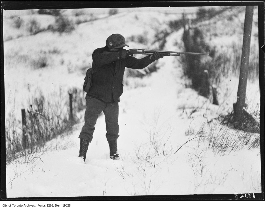 Clarkson rabbit hunt, hunter pointing gun. - January 18, 1930