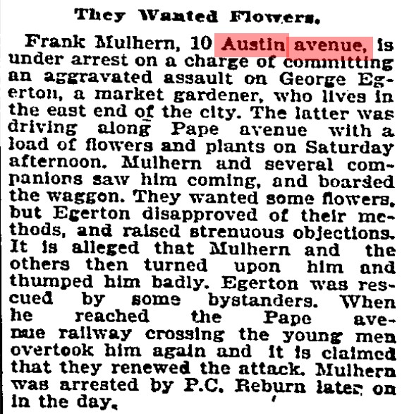 10 19000910 GL Mulhearn Austin Avenue roughed up flower grower